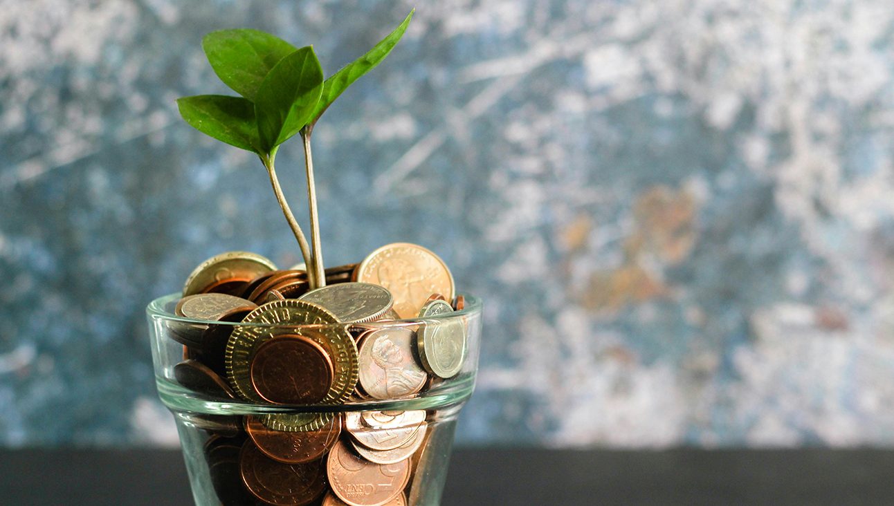 A green plant growing out of a glass full of coins